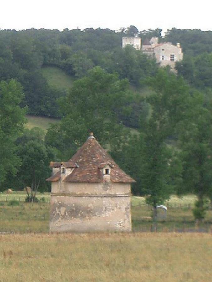 Hotel Le Relais Du Chateau Grignols  Dış mekan fotoğraf