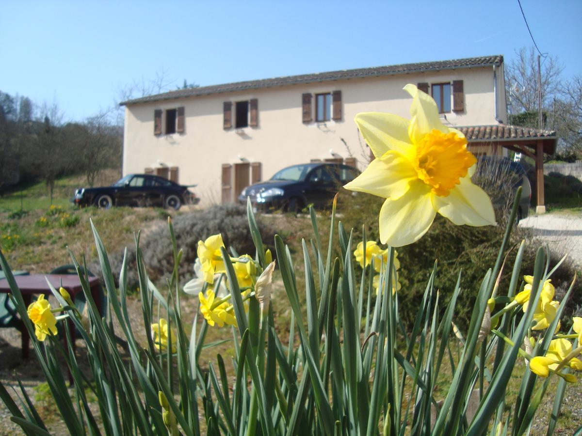 Hotel Le Relais Du Chateau Grignols  Dış mekan fotoğraf