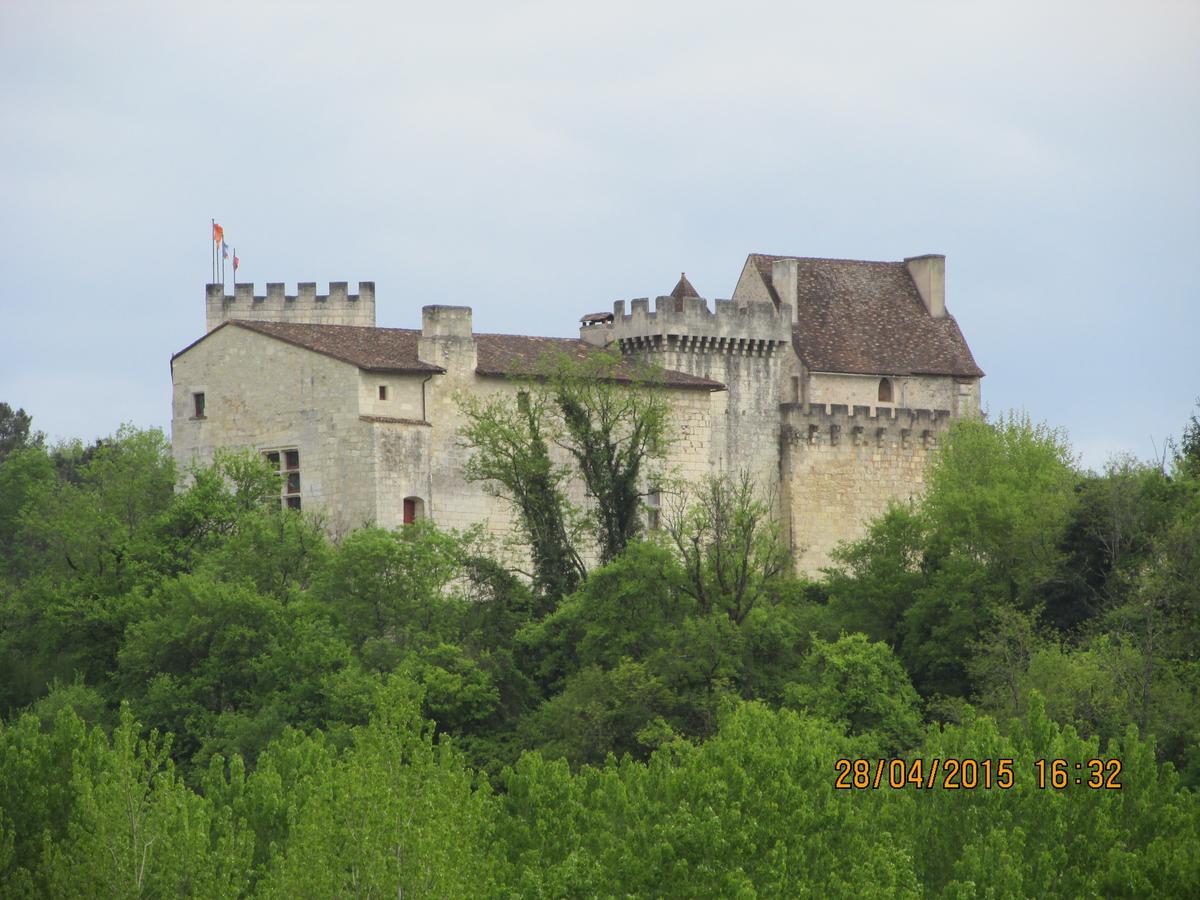 Hotel Le Relais Du Chateau Grignols  Dış mekan fotoğraf